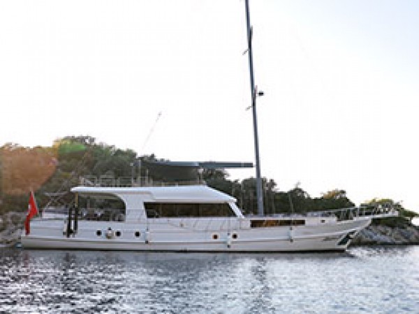 Albatros M Caicco