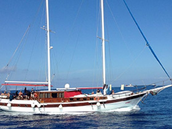 Ersen 1 Caicco