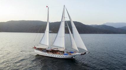 Caicco Kayhan 5