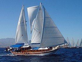 Southern Cross Timer Caicco
